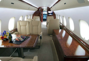 A complete guide to flying with your pets