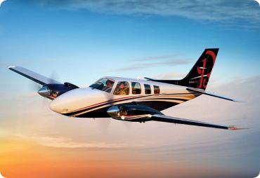 A complete guide to flying with your pets